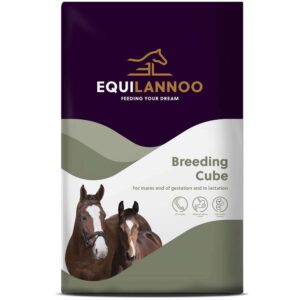 Equilannoo    Breeding Cube