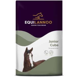 Equilannoo Junior Cube
