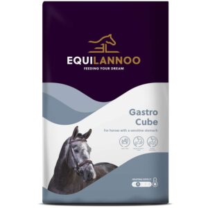 Equilannoo Gastro Cube